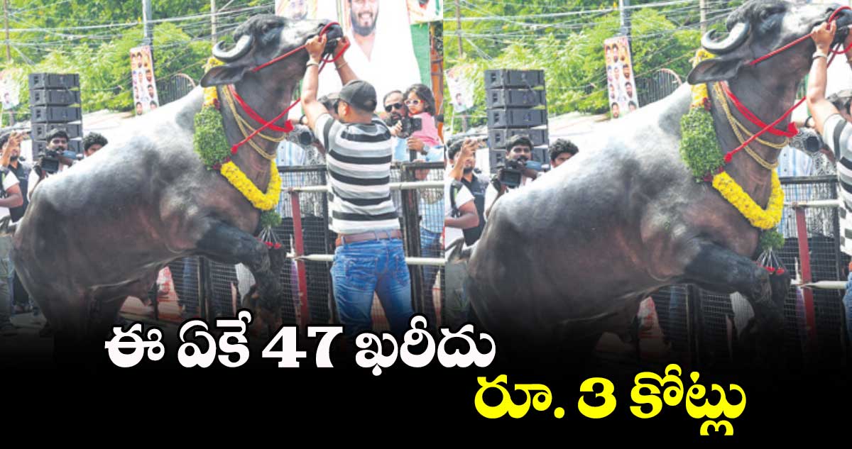 ఈ ఏకే 47 ఖరీదు రూ. 3 కోట్లు