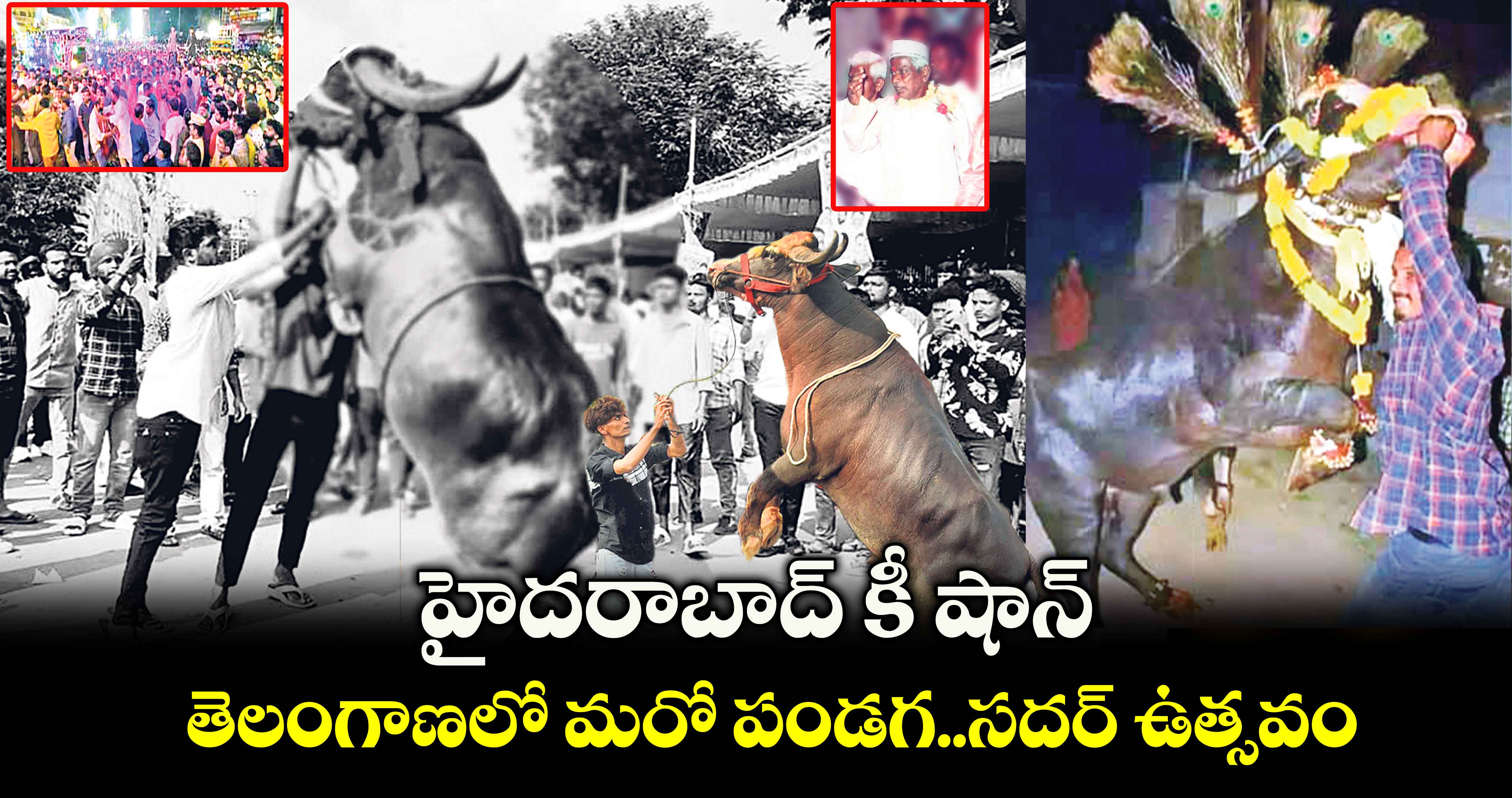 హైదరాబాద్ కీ షాన్.. తెలంగాణలో మరో పండగ..సదర్ ఉత్సవం 