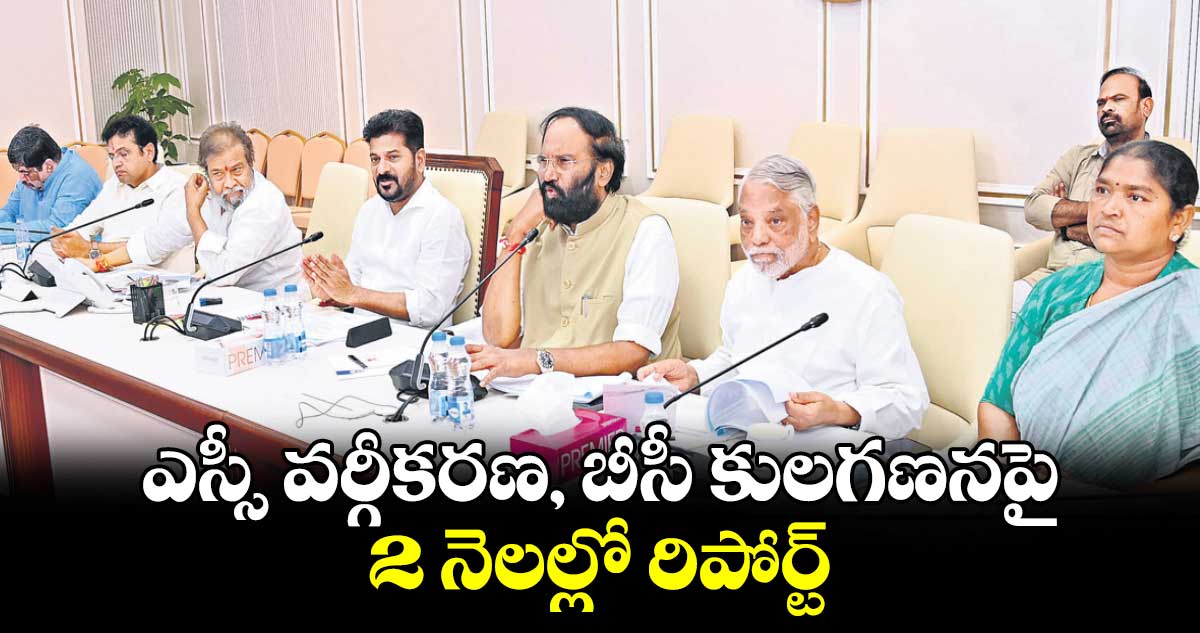 ఎస్సీ వర్గీకరణ, బీసీ కులగణనపై..2 నెలల్లో రిపోర్ట్