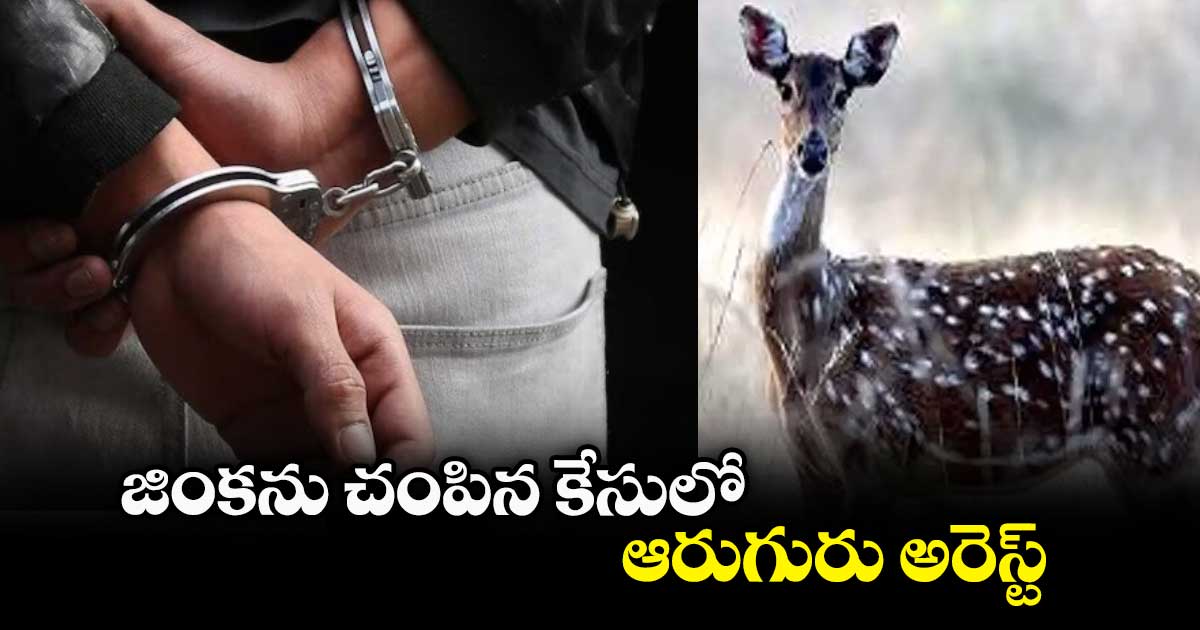 జింకను చంపిన కేసులో ఆరుగురు అరెస్ట్