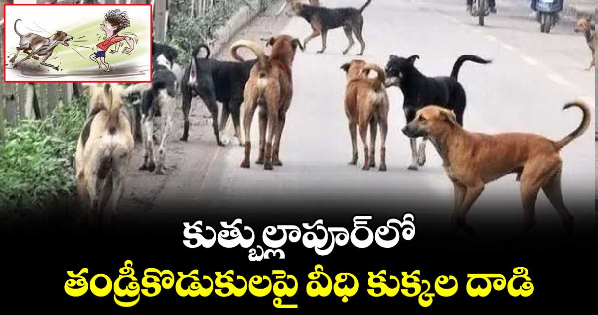 కుత్బుల్లాపూర్ లో  తండ్రీకొడుకులపై వీధి కుక్కల దాడి..