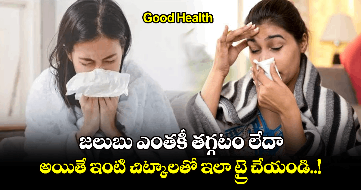 Good Health : జలుబు ఎంతకీ తగ్గటం లేదా.. అయితే ఇంటి చిట్కాలతో ఇలా ట్రై చేయండి..!