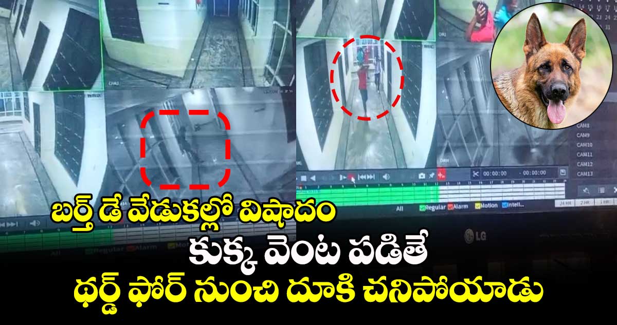 బర్త్ డే వేడుకల్లో విషాదం : కుక్క వెంట పడితే.. థర్డ్ ఫోర్ నుంచి దూకి చనిపోయాడు