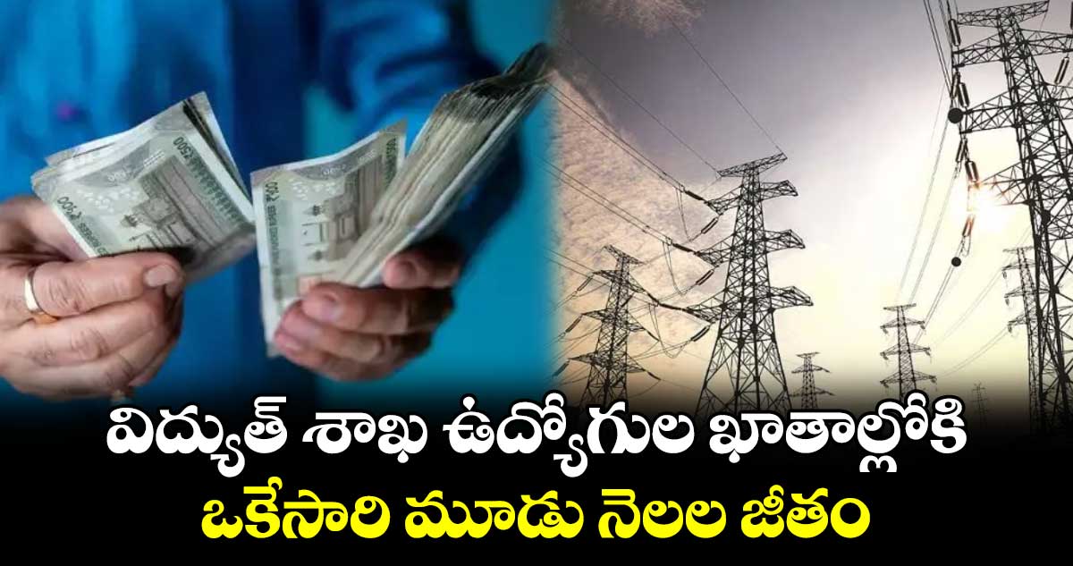 విద్యుత్  శాఖ ఉద్యోగుల ఖాతాల్లోకి ఒకేసారి మూడు నెలల జీతం