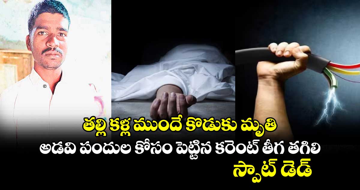 తల్లి కళ్ల ముందే కొడుకు మృతి.. అడవి పందుల కోసం పెట్టిన కరెంట్ తీగ తగిలి స్పాట్ డెడ్