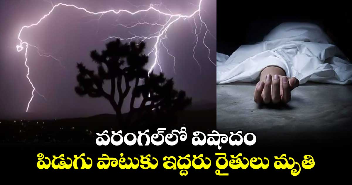 వరంగల్‎లో విషాదం.. పిడుగు పాటుకు ఇద్దరు రైతులు మృతి