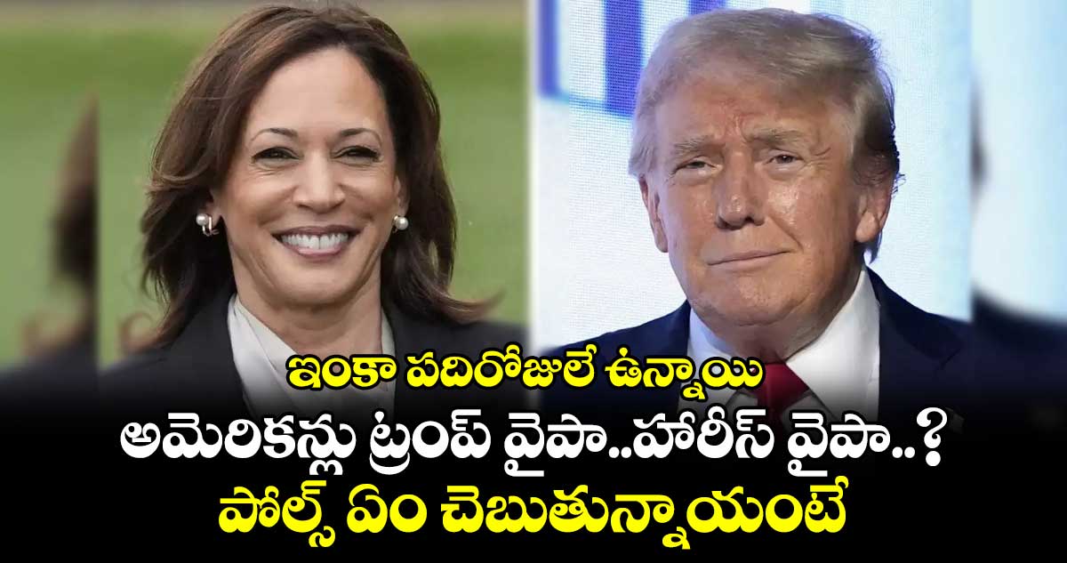 US Elections: ఇంకా పదిరోజులే ఉన్నాయి.. అమెరికన్లు ట్రంప్ వైపా..హారీస్ వైపా..? పోల్స్ ఏం చెబుతున్నాయంటే