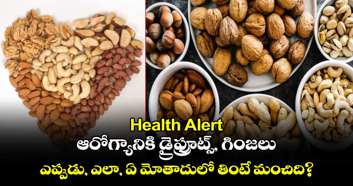 Health Alert: ఆరోగ్యానికి  డ్రైఫ్రూట్స్, గింజలు..  ఎప్పుడు, ఎలా, ఏ మోతాదులో తింటే మంచిది?