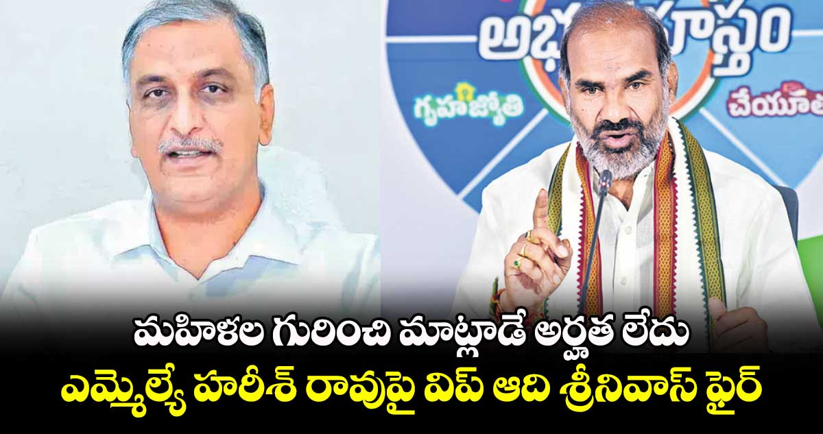 మహిళల గురించి మాట్లాడే అర్హత లేదు...ఎమ్మెల్యే హరీశ్‌‌ రావుపై విప్ ఆది శ్రీనివాస్ ఫైర్