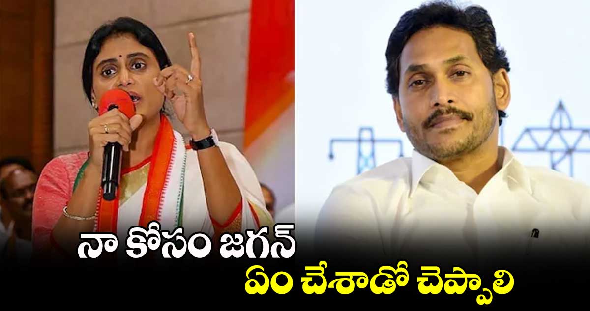 నా కోసం జగన్ ఏం చేశాడో చెప్పాలి: వైఎస్ షర్మిల