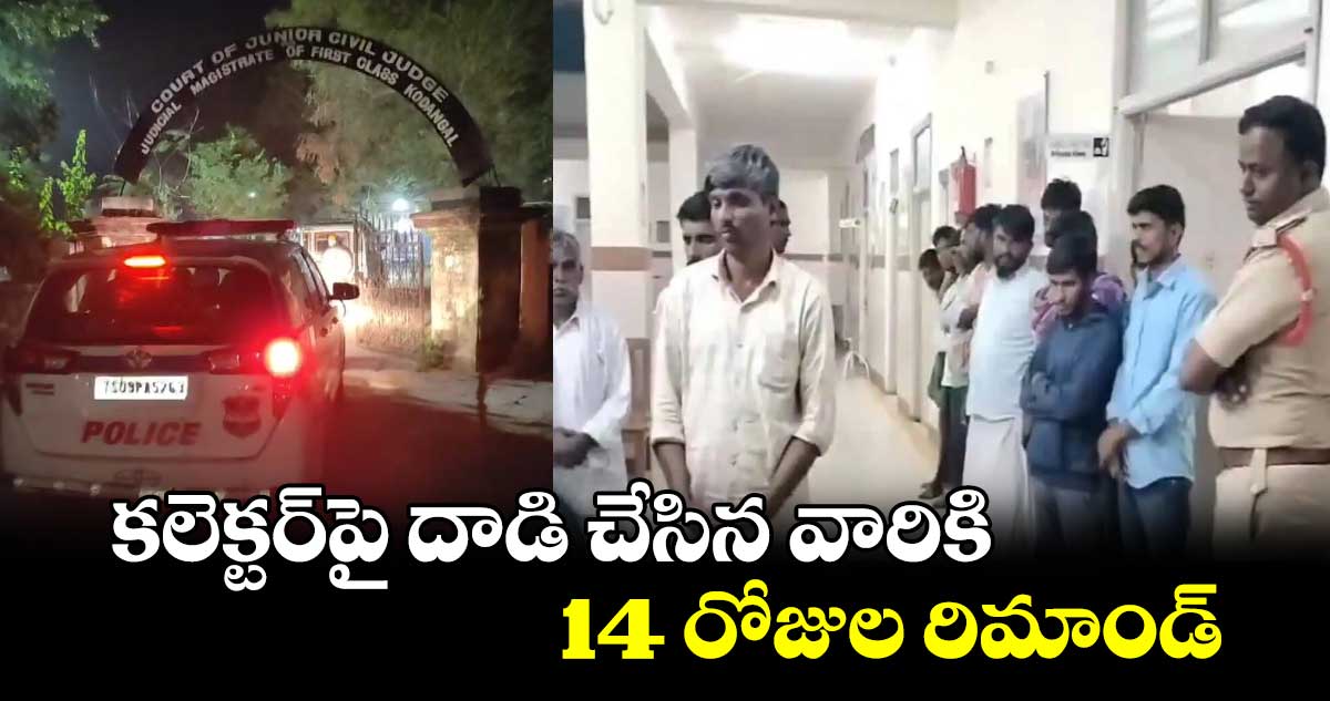 కలెక్టర్‌పై దాడి చేసిన వారికి 14 రోజుల రిమాండ్