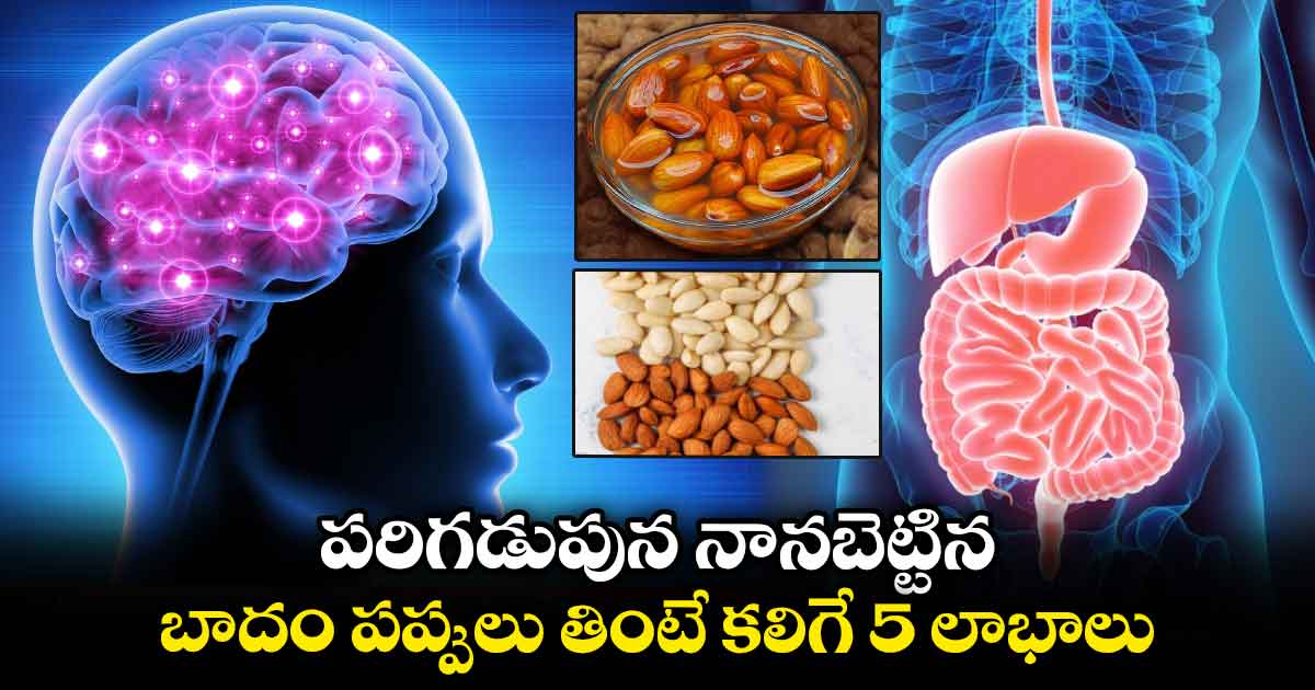 Health Tips: పరిగడుపున నానబెట్టిన బాదం పప్పులు తింటే కలిగే 5 లాభాలు