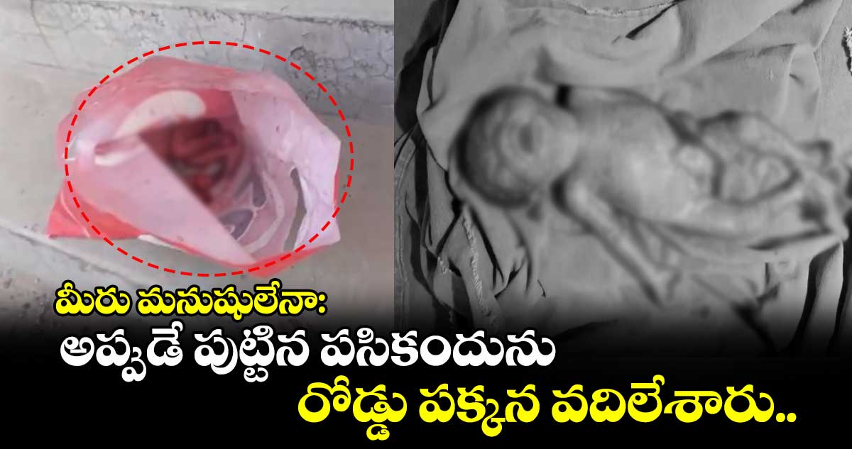 మీరు మనుషులేనా: అప్పుడే పుట్టిన పసికందును రోడ్డు పక్కన వదిలేశారు.. 