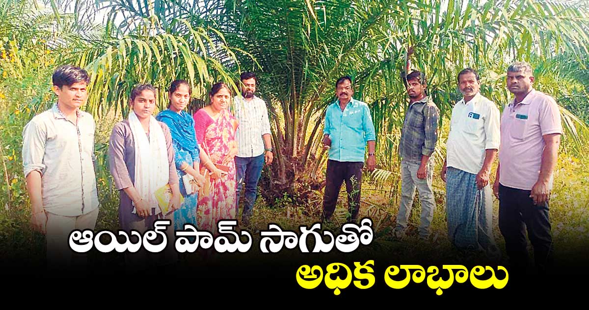 ఆయిల్​ పామ్​ సాగుతో అధిక లాభాలు 