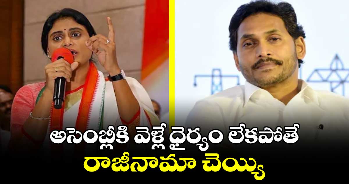 అసెంబ్లీకి వెళ్లే ధైర్యం లేకపోతే రాజీనామా చెయ్యి: జగన్⁬కు షర్మిల కౌంటర్