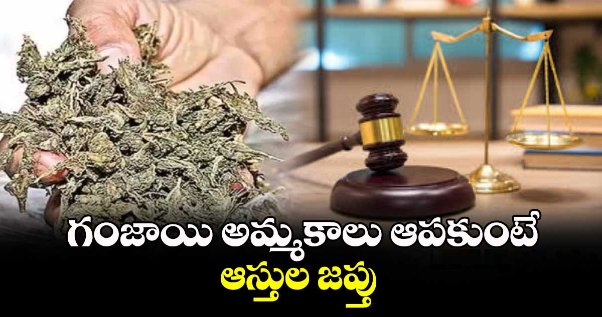 గంజాయి అమ్మకాలు ఆపకుంటే ఆస్తుల జప్తు