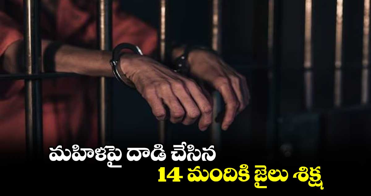 ఆసిఫాబాద్ జిల్లాలో మహిళపై దాడి చేసిన 14 మందికి జైలు శిక్ష