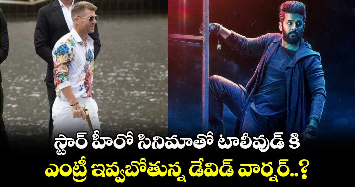 David Warner: స్టార్ హీరో సినిమాతో టాలీవుడ్ కి ఎంట్రీ ఇవ్వబోతున్న డేవిడ్ వార్నర్..?