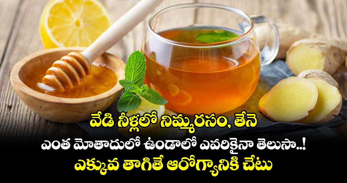 Good Health : వేడి నీళ్లలో నిమ్మరసం, తేనె ఎంత మోతాదులో ఉండాలో ఎవరికైనా తెలుసా..! ఎక్కువ తాగితే ఆరోగ్యానికి చేటు