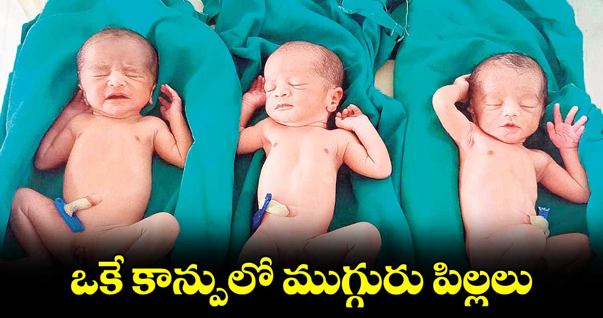 ఒకే కాన్పులో ముగ్గురు పిల్లలు