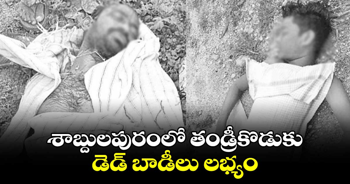 శాబ్దులపురంలో తండ్రీకొడుకు డెడ్ బాడీలు లభ్యం