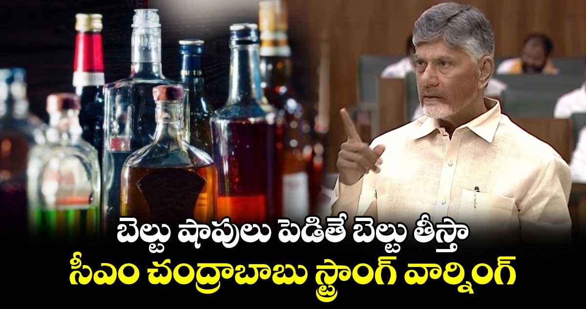 బెల్టు షాపులు పెడితే బెల్టు తీస్తా: సీఎం చంద్రాబాబు స్ట్రాంగ్ వార్నింగ్