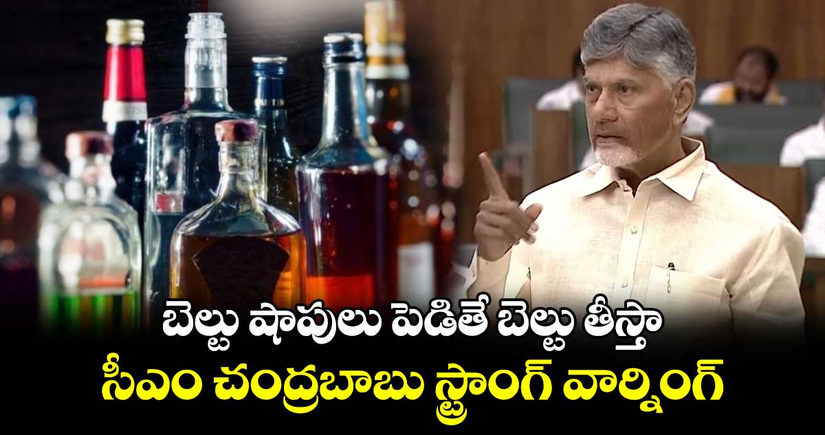 బెల్టు షాపులు పెడితే బెల్టు తీస్తా: సీఎం చంద్రబాబు స్ట్రాంగ్ వార్నింగ్