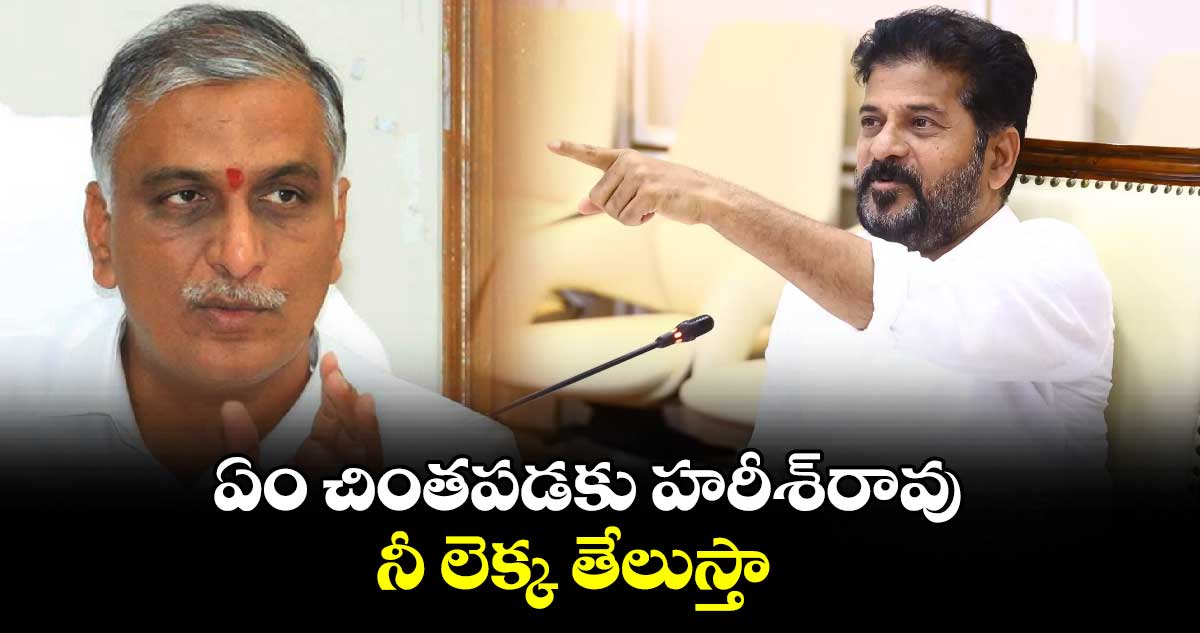 ఏం చింతపడకు హరీశ్​రావు.. నీ లెక్క తేలుస్తా:సీఎం రేవంత్ 