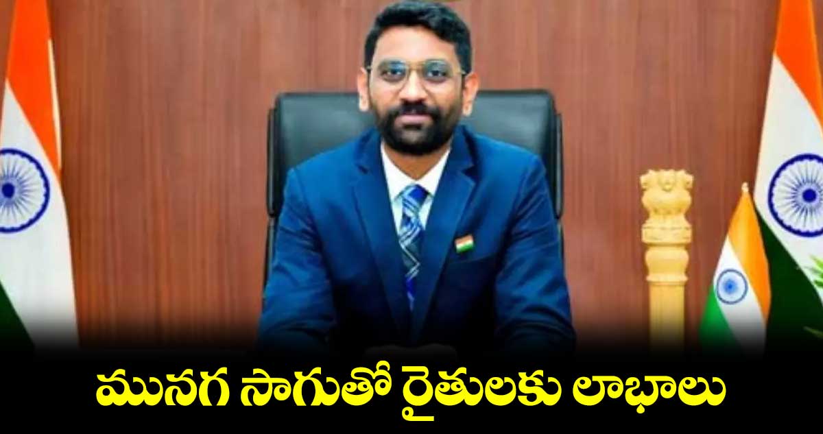 మునగ సాగుతో రైతులకు లాభాలు : కలెక్టర్​ జితేష్​ వి పాటిల్​ 