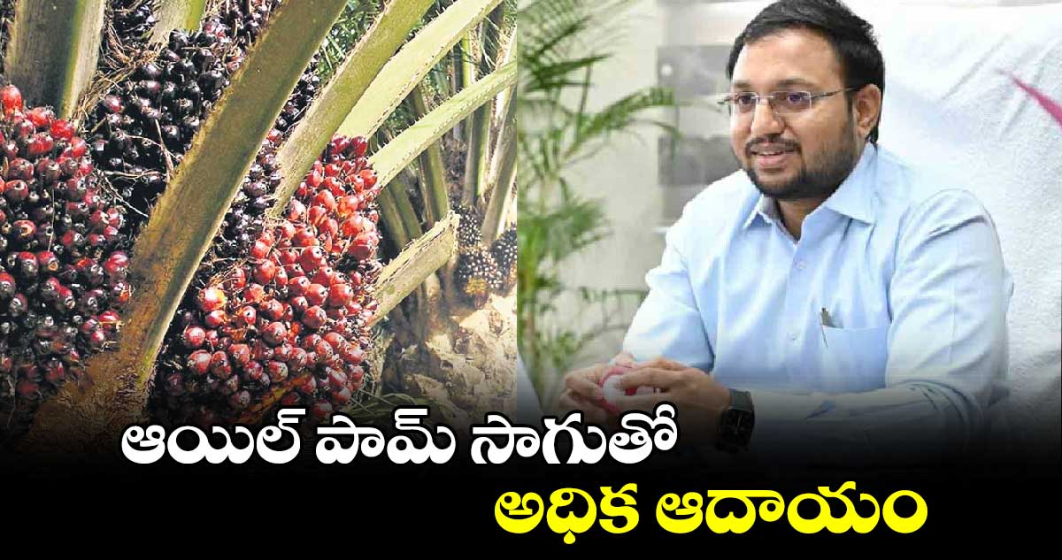 ఆయిల్ పామ్ సాగుతో అధిక ఆదాయం : కలెక్టర్ తేజస్ నందలాల్ పవార్ 