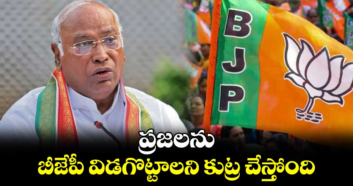 ప్రజలను బీజేపీ విడగొట్టాలని కుట్ర చేస్తోంది: కాంగ్రెస్ చీఫ్ ఖర్గే 