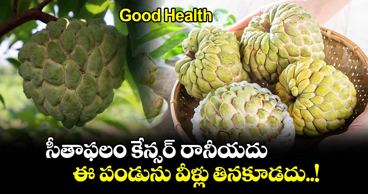 Good Health : సీతాఫలం కేన్సర్ రానీయదు.. ఈ పండును వీళ్లు తినకూడదు..!