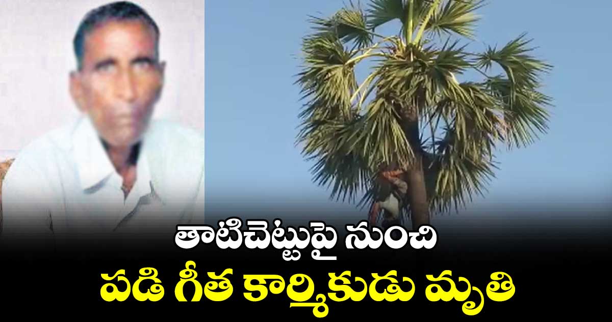 తాటిచెట్టుపై నుంచి పడి గీత కార్మికుడు మృతి