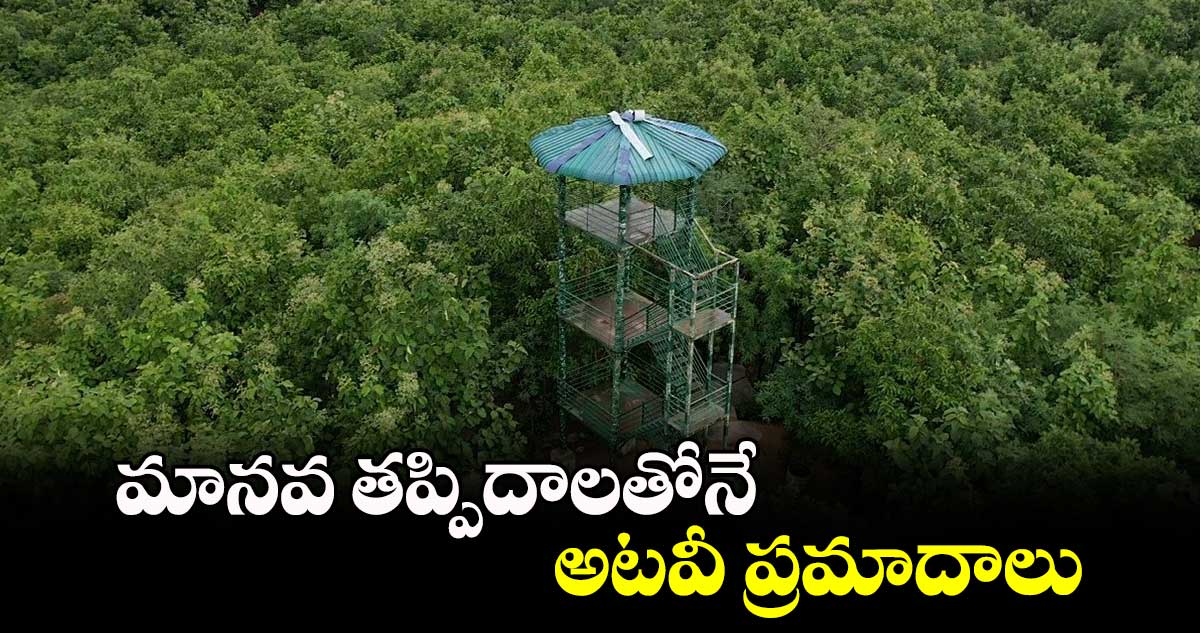 మానవ తప్పిదాలతోనే అటవీ ప్రమాదాలు