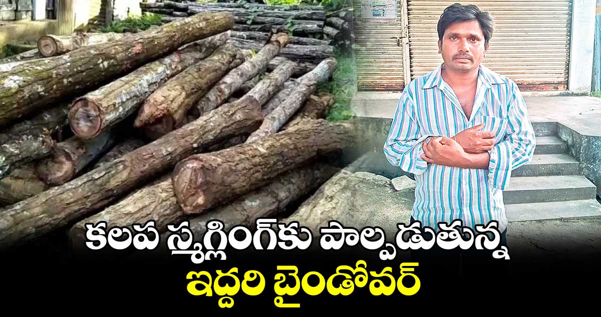 కలప స్మగ్లింగ్​కు పాల్పడుతున్న ఇద్దరి బైండోవర్