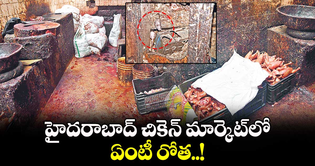 హైదరాబాద్ చికెన్ మార్కెట్​లో ఏంటీ రోత..!