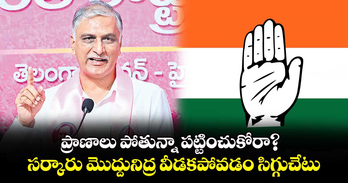 ప్రాణాలు పోతున్నా పట్టించుకోరా?..సర్కారు మొద్దునిద్ర వీడకపోవడం సిగ్గుచేటు: హరీశ్ రావు 