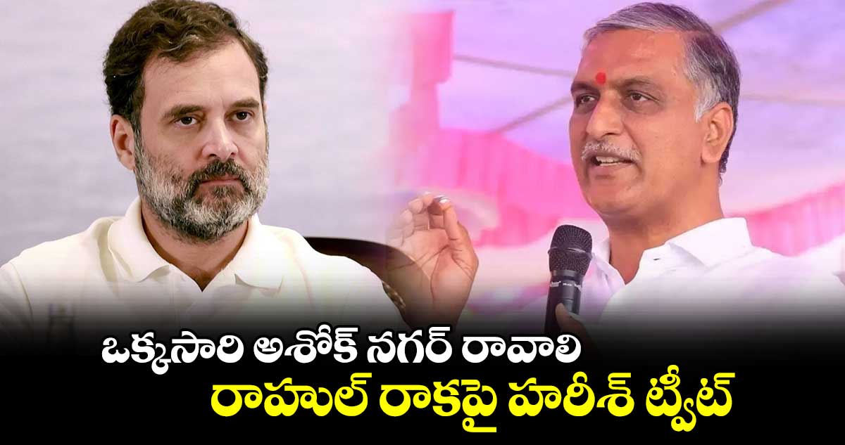 ఒక్కసారి అశోక్ నగర్ రావాలి.. రాహుల్ రాకపై హరీశ్ ట్వీట్ 