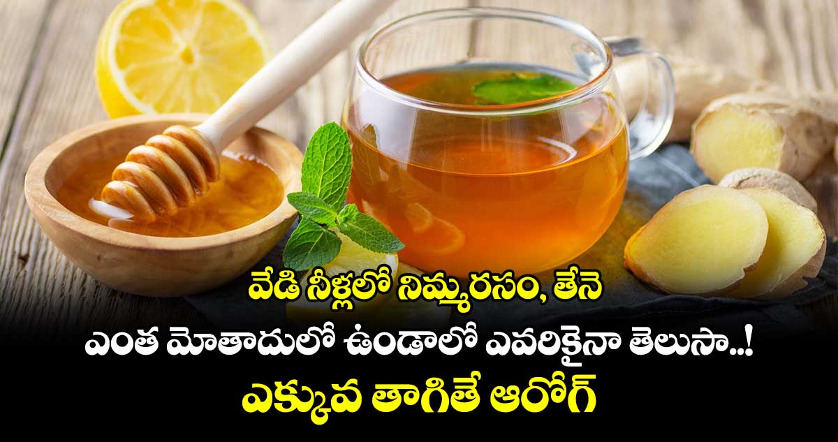 Good Health : వేడి నీళ్లలో నిమ్మరసం, తేనె ఎంత మోతాదులో ఉండాలో ఎవరికైనా తెలుసా..! ఎక్కువ తాగితే ఆరోగ్యానికి చేటు