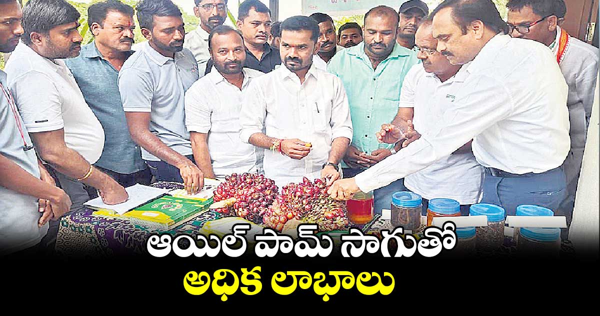 ఆయిల్ పామ్ సాగుతో అధిక లాభాలు