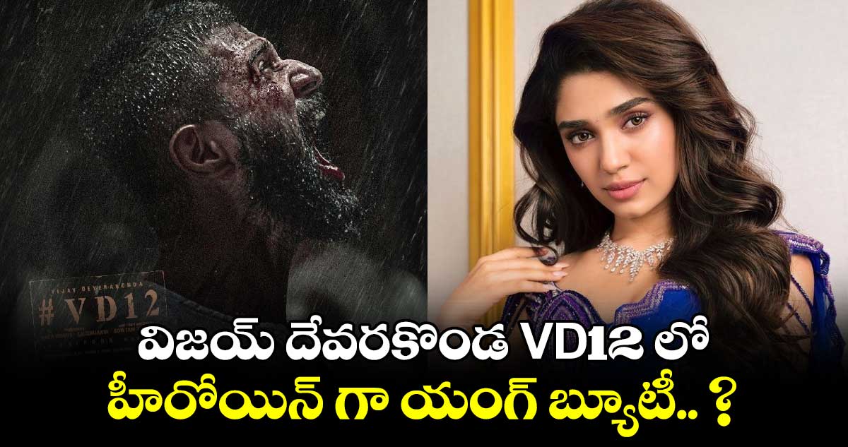 విజయ్ దేవరకొండ VD12 లో హీరోయిన్ గా యంగ్ బ్యూటీ.. ?