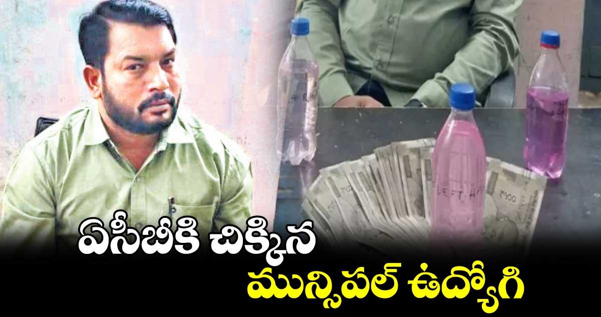 ఏసీబీకి చిక్కిన మున్సిపల్​ ఉద్యోగి