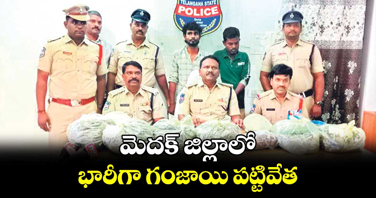  మెదక్ జిల్లాలో భారీగా గంజాయి పట్టివేత