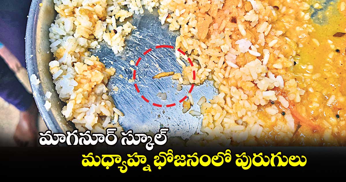 మాగనూర్‌‌‌‌ స్కూల్‌‌‌‌ మధ్యాహ్న భోజనంలో పురుగులు