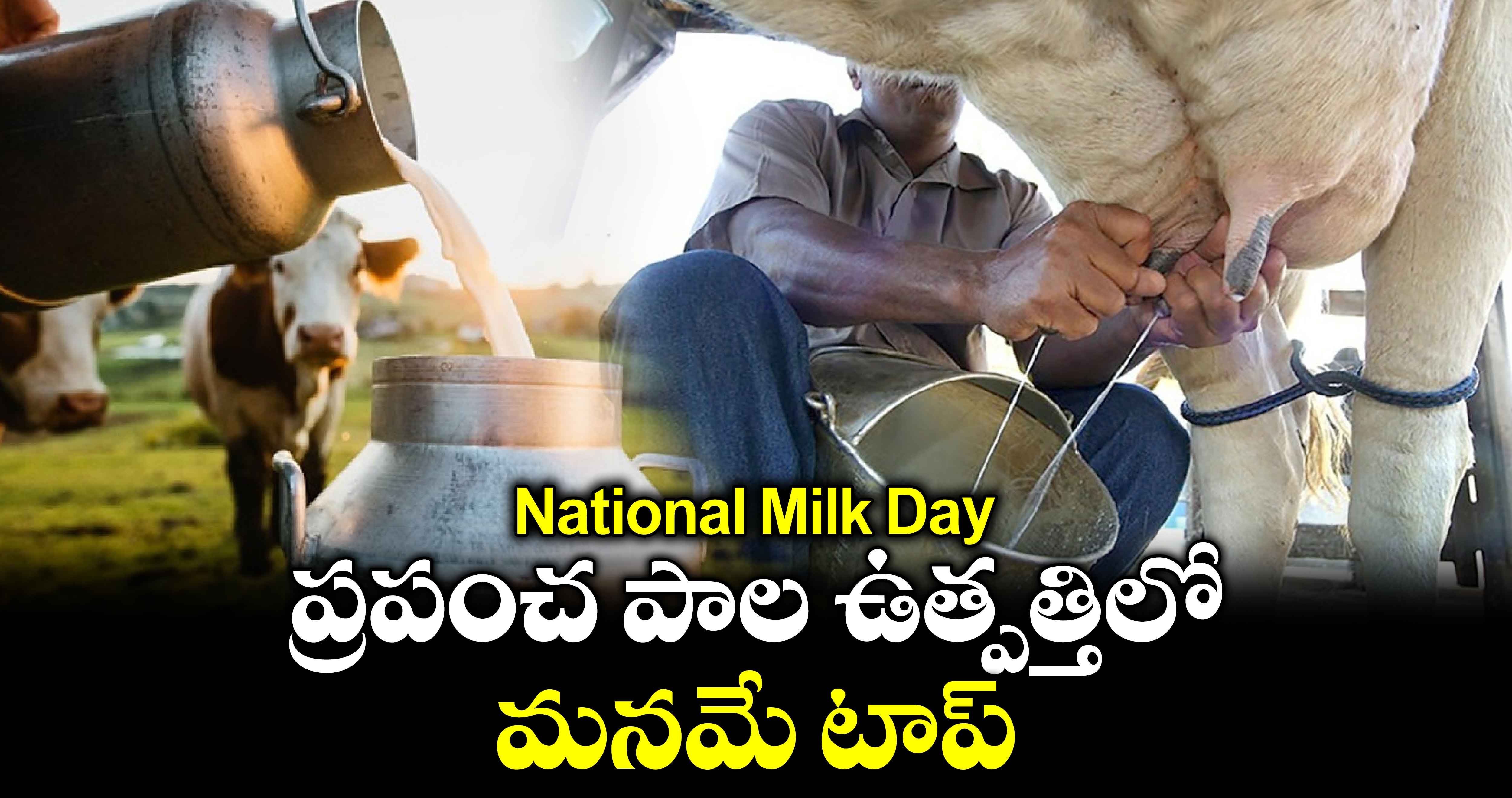 National Milk Day: ప్రపంచ  పాల ఉత్పత్తిలో మనమే టాప్ 