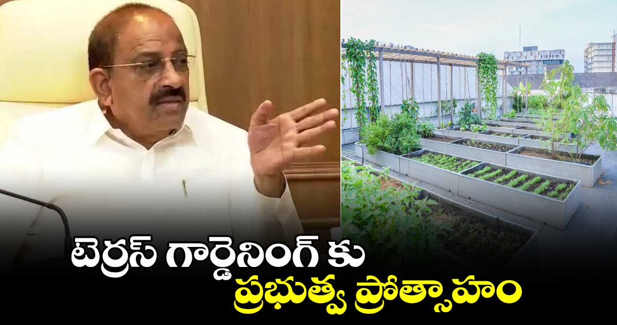 టెర్రస్ గార్డెనింగ్ కు  ప్రభుత్వ ప్రోత్సాహం: మంత్రి తుమ్మల 