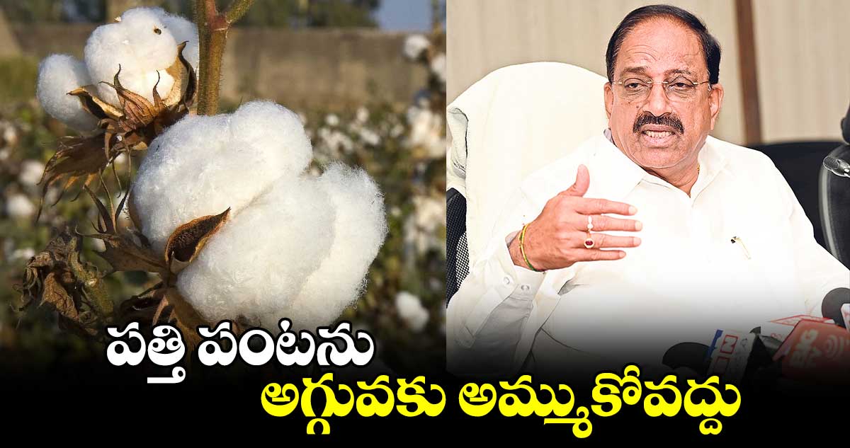 పత్తి పంటను అగ్గువకు అమ్ముకోవద్దు : మంత్రి తుమ్మల