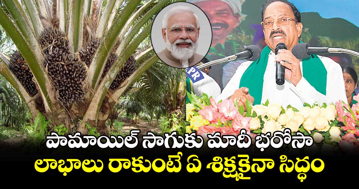 పామాయిల్ సాగుకు మాదీ భరోసా..లాభాలు రాకుంటే ఏ శిక్షకైనా సిద్ధం: మంత్రి తుమ్మల