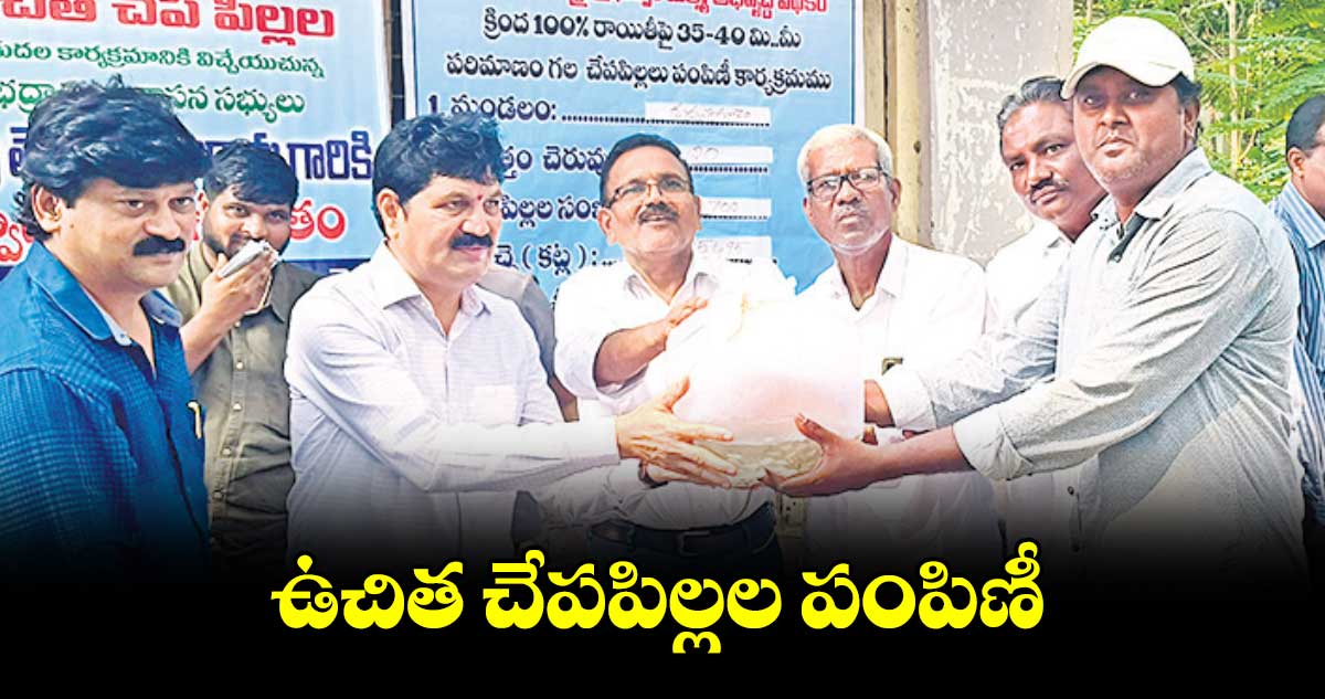 ఉచిత చేపపిల్లల పంపిణీ : ఎమ్మెల్యే తెల్లం వెంకట్రావు