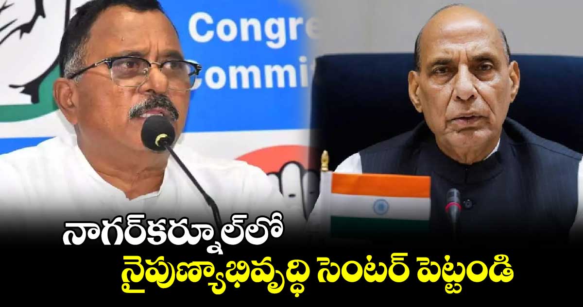 నాగర్‌‌కర్నూల్‌‌లో నైపుణ్యాభివృద్ధి సెంటర్​ పెట్టండి : ఎంపీ మల్లు రవి